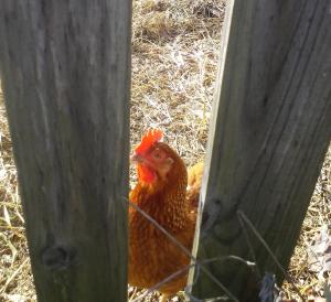 20141111_103014_crop