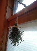 20141111_143754_crop