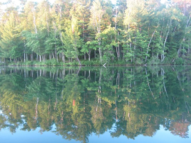 177126_4159755201427_1660919699_o